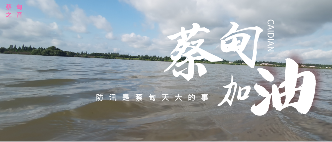 蔡甸區(qū)啟動(dòng)防汛ⅰ級(jí)應(yīng)急響應(yīng)，做好鋪土釘防汛木樁工作