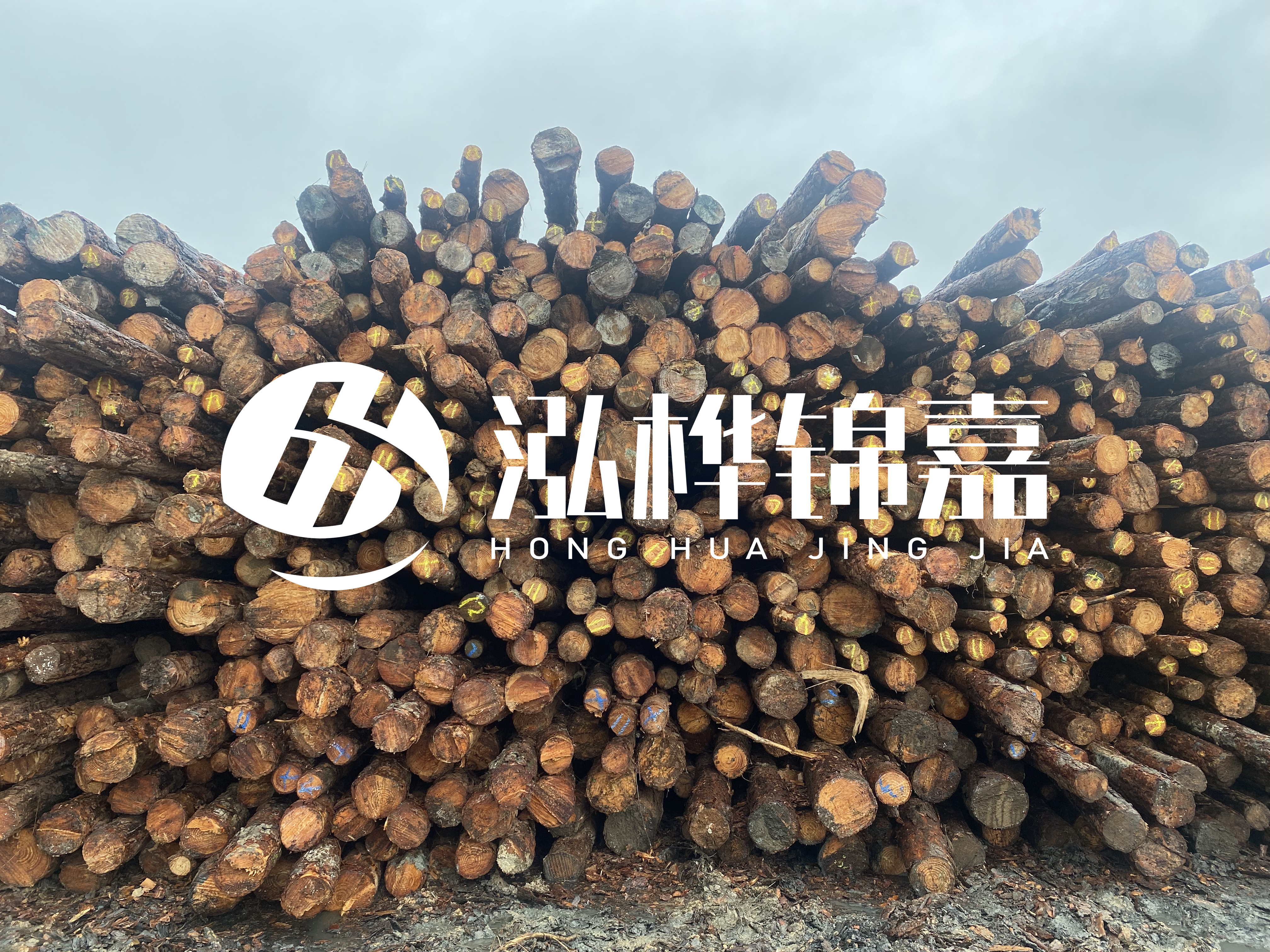松木樁的直徑一般取多少？