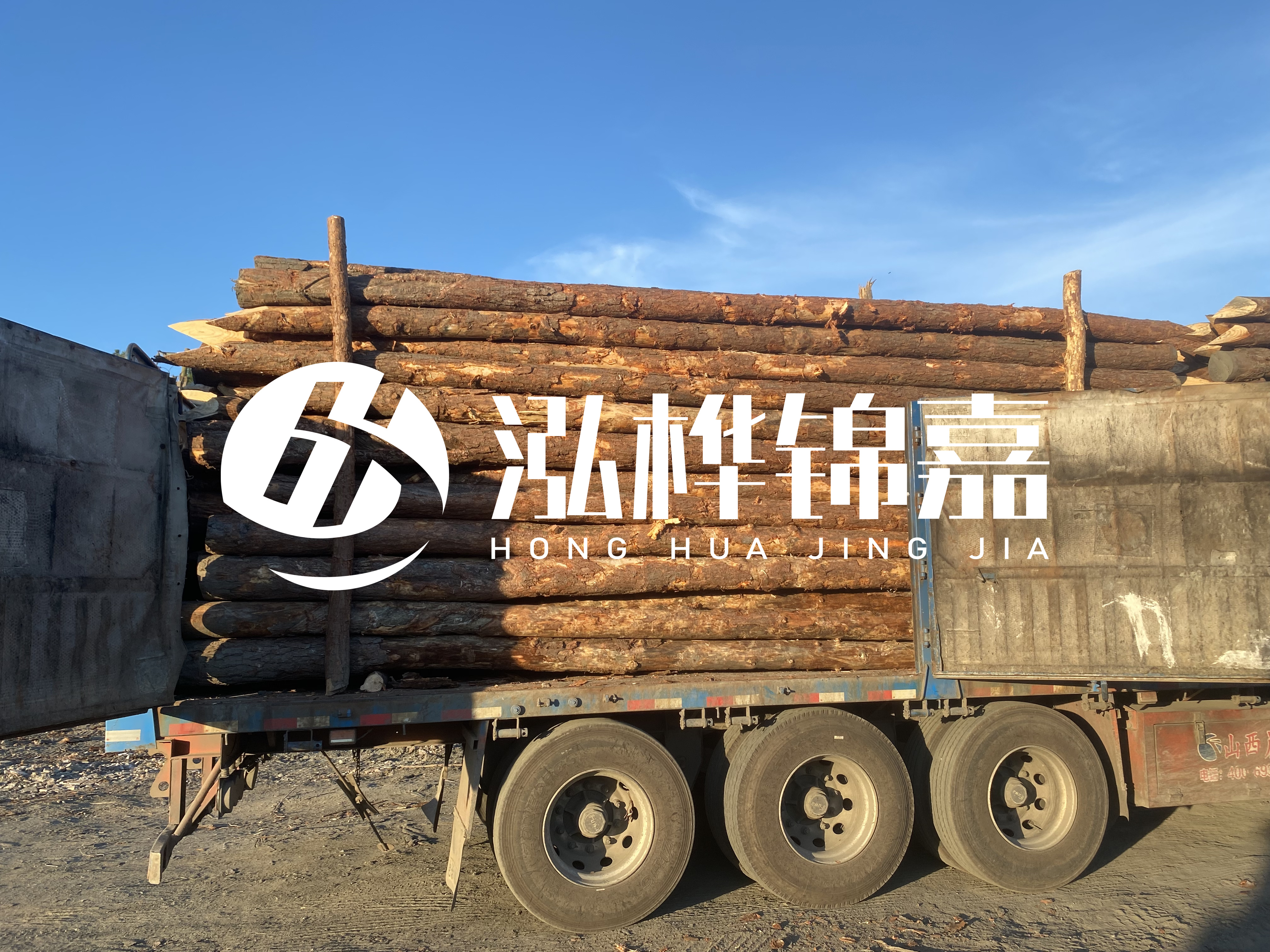 河道治理為什么要用松木樁？