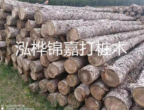 高效修補(bǔ)，保駕護(hù)航！水泥路面高強(qiáng)度修補(bǔ)料為您解決煩惱！