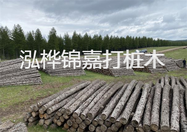 鋼結(jié)構(gòu)施工方案大全免費(fèi)提供，助力工程建設(shè)
